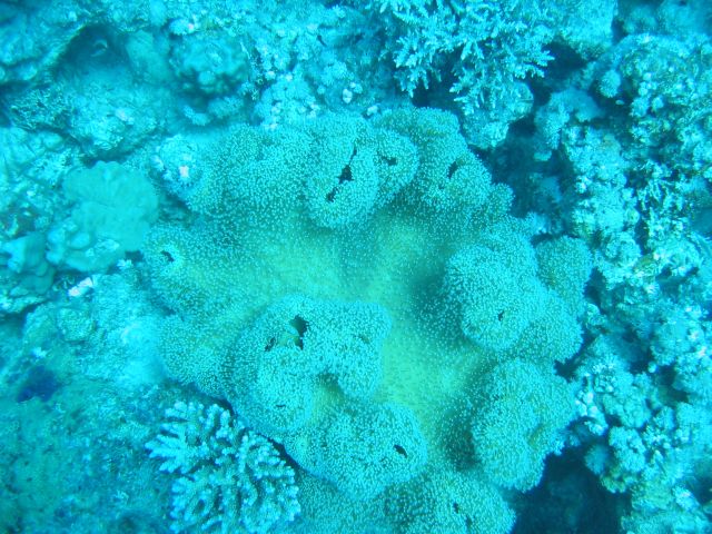 IMG_6972.JPG