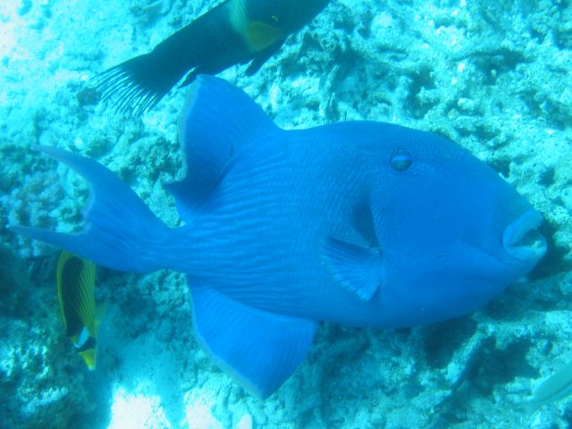 IMG_7240.JPG