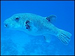 IMG_6852.JPG