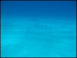 IMG_7006.JPG