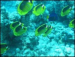 IMG_7185.JPG