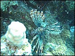IMG_7479.JPG