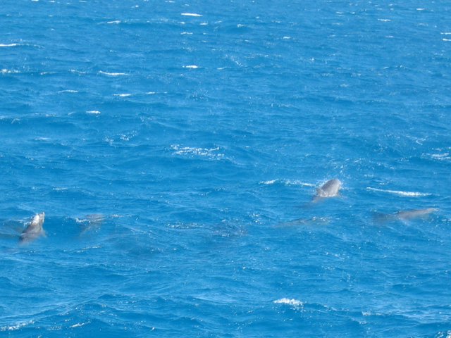 IMG_9720.JPG