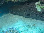IMG_9370.JPG
