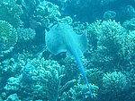 IMG_9665.JPG