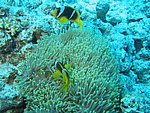 IMG_9744.JPG