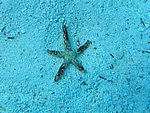 IMG_9885.JPG