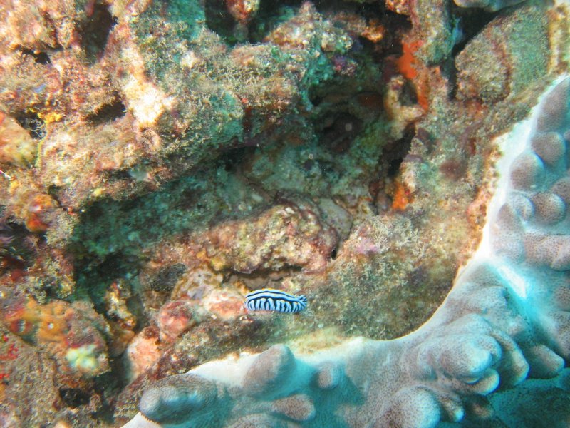 20051122_27.JPG