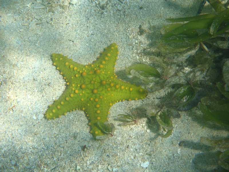 20051122_36.JPG