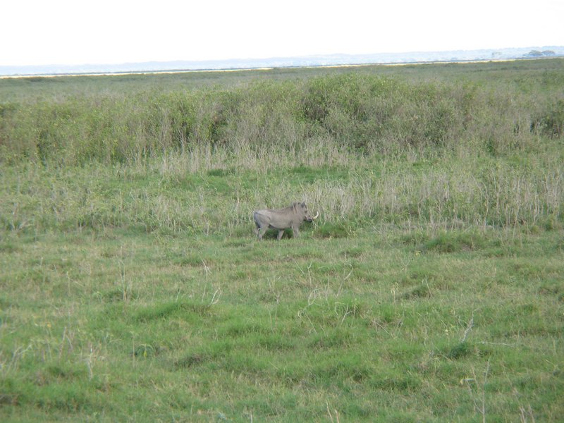 20051127_28.JPG