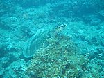 20051121_29.JPG