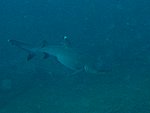 20051124_09.JPG