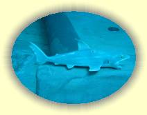 IMG_2390 * 2272 x 1704 * (878KB)