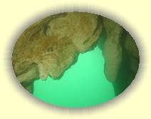 IMG_5683 * 2272 x 1704 * (832KB)