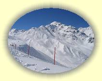 IMG_8199 * 2592 x 1944 * (2.27MB)