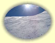 IMG_8279 * 2592 x 1944 * (2.82MB)