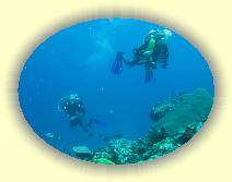 20081118_IMG_0158 * 20081118_IMG_0158 * 2458 x 1844 * (3.15MB)