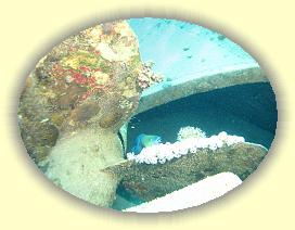 20090625_011 * 3072 x 2304 * (3.27MB)
