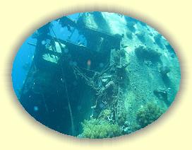 20090625_018 * 3072 x 2304 * (2.97MB)
