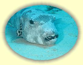 20090629_001 * 3072 x 2304 * (3.08MB)