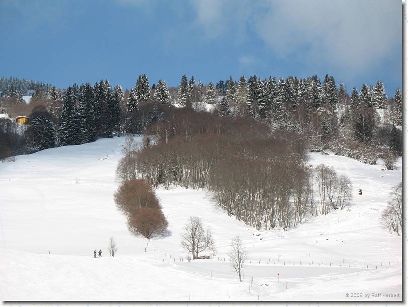 Nächstes Bild