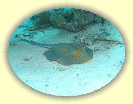 20100914_001 * 2013 x 1512 * (2.02MB)