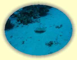 20100914_002 * 3072 x 2304 * (2.42MB)