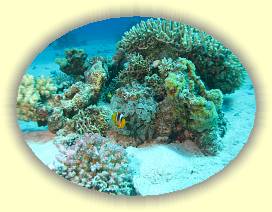 20100914_012 * 3072 x 2304 * (3.52MB)