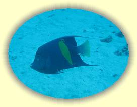 20100914_016 * 3072 x 2304 * (2.23MB)