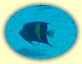 20100914_017 * 3072 x 2304 * (2.0MB)