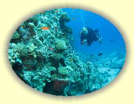 20100915_002 * 3072 x 2304 * (3.47MB)