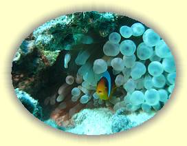 20100915_003 * 3072 x 2304 * (2.69MB)