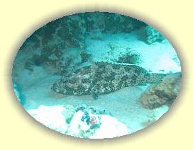 20100915_009 * 3072 x 2304 * (2.72MB)