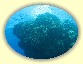 20100915_011 * 3072 x 2304 * (2.66MB)