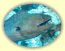 20100915_021 * 3072 x 2304 * (3.0MB)