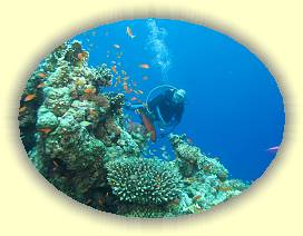 20100915_040 * 3072 x 2304 * (3.01MB)