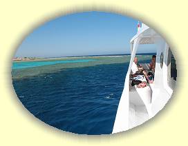 20100915_050 * 3072 x 2304 * (2.44MB)