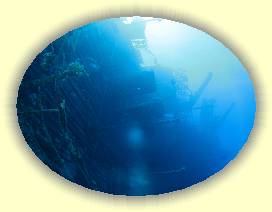 20100916_025 * 3072 x 2304 * (2.03MB)