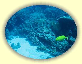 20100916_057 * 2467 x 1850 * (2.75MB)