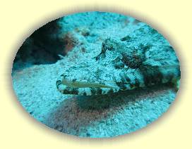 20100916_061 * 3072 x 2304 * (2.78MB)