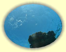 20100916_063 * 3072 x 2304 * (2.6MB)