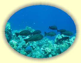 20100917_010 * 2643 x 1981 * (2.96MB)