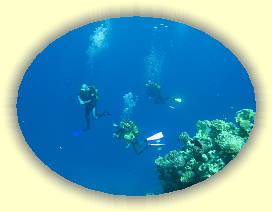 20100917_011 * 3072 x 2304 * (2.37MB)