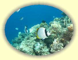 20100917_041 * 2109 x 1579 * (2.32MB)