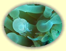 20100918_007 * 1729 x 1297 * (1.37MB)