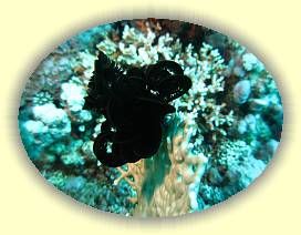 20100919_001 * 3072 x 2304 * (2.65MB)