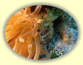 20100919_006 * 3072 x 2304 * (3.27MB)