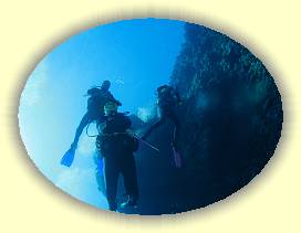 20100919_007 * 2909 x 2177 * (3.2MB)