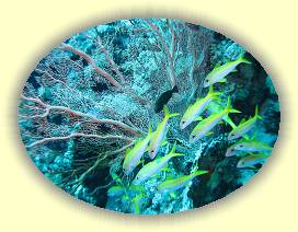 20100919_008 * 3072 x 2304 * (3.93MB)