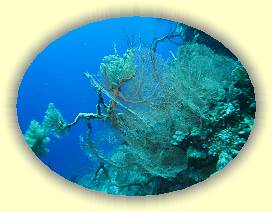 20100919_009 * 3072 x 2304 * (3.52MB)